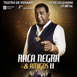 Raça Negra