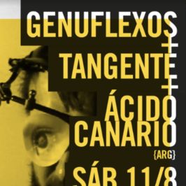 Tres bandas, dos orillas, un concierto