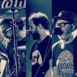 Los Chanchos Salvajes