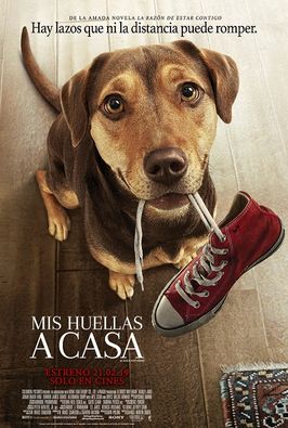 Resultado de imagen para imagenes de la pelicula mis huellas a casa