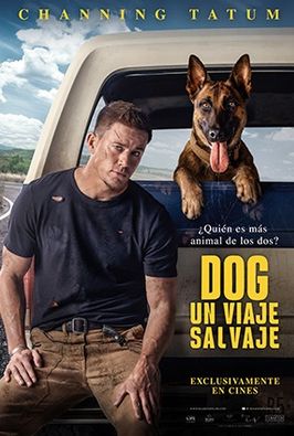 Dog: un viaje salvaje