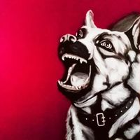 Collar de perro / Montevideo de las Artes 2022