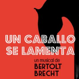 Un caballo se lamenta