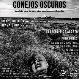 Conejos oscuros