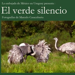 El verde silencio