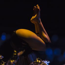 Festival Internacional de Circo de Uruguay: Juanas - La noche que el jardín rebrotó