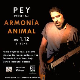 Armonía Animal