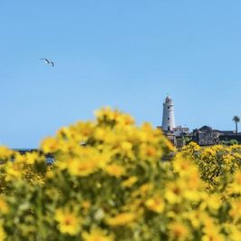Lazareto Isla de Flores