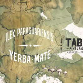 Ilex Paraguariensis (Yerba Mate)