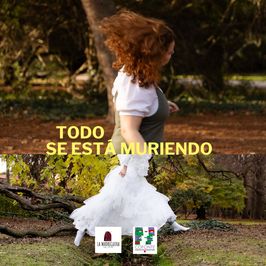 Todo se está muriendo